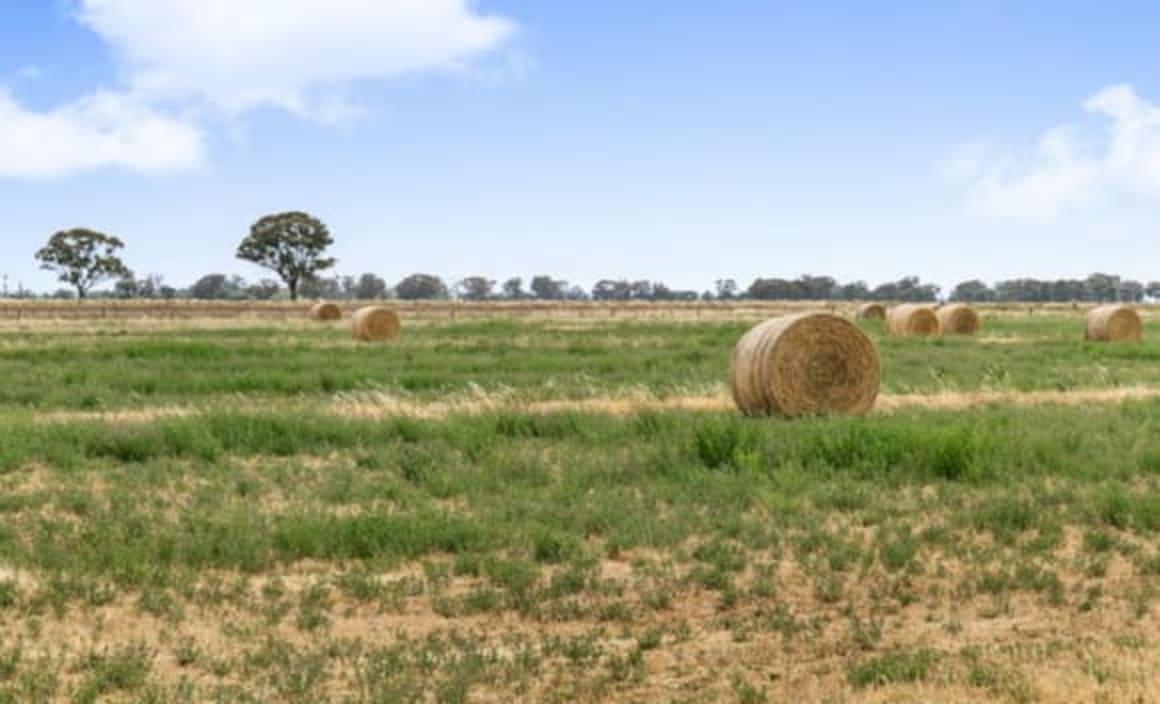 Organic EchucaMoama region farm listed for auction
